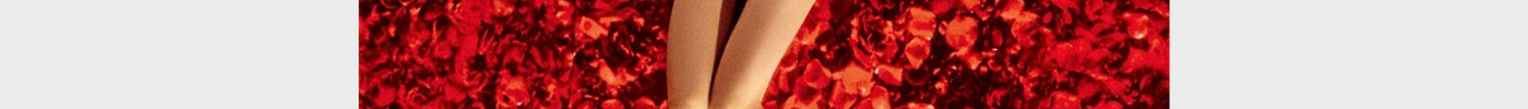 Plongez dans l'univers captivant de « American Beauty » avec notre affiche culte