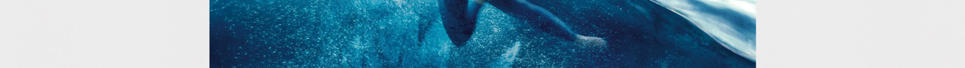 L'affiche cinéma « En eaux troubles » avec Jason Statham et le Mégalodon