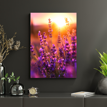 #92 Affiche murale lavande au coucher du soleil – lumière dorée