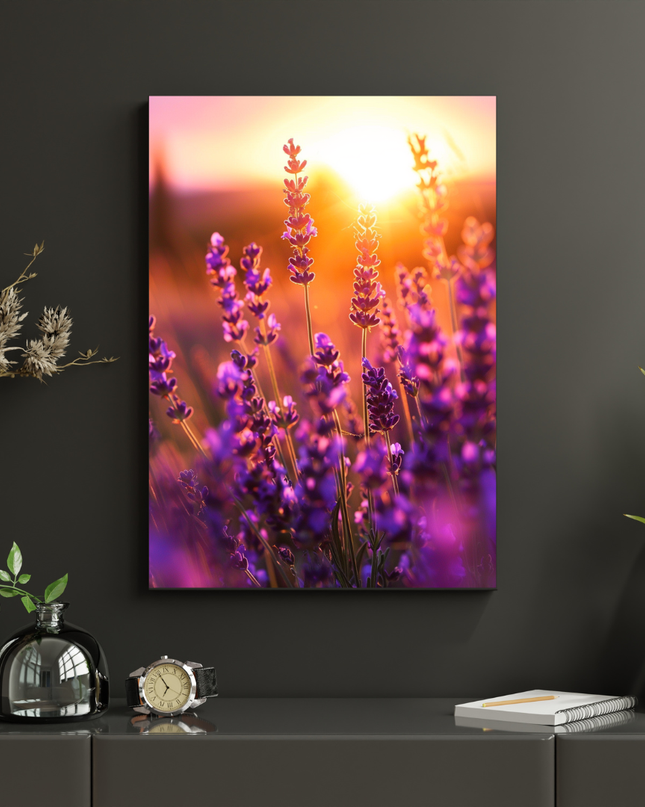 #92 Affiche murale lavande au coucher du soleil – lumière dorée