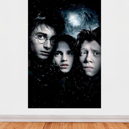 Affiche « Harry Potter et le Prisonnier d’Azkaban » – Ambiance magique et glaciale