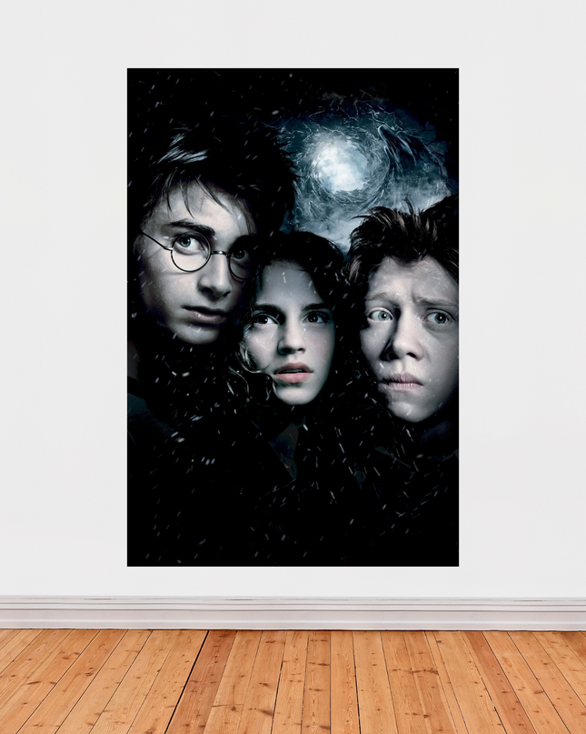 Affiche « Harry Potter et le Prisonnier d’Azkaban » – Ambiance magique et glaciale