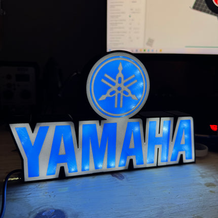 Veilleuse LED pour fan de moto
