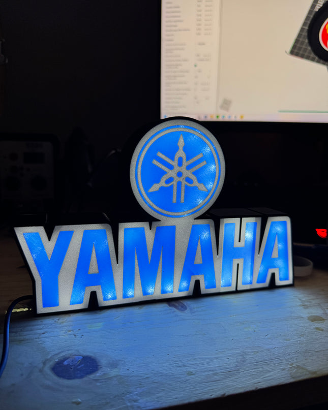 Veilleuse LED pour fan de moto
